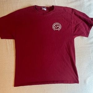 BACK 2 BACK Champs USC Carolina Gamecocks Tee